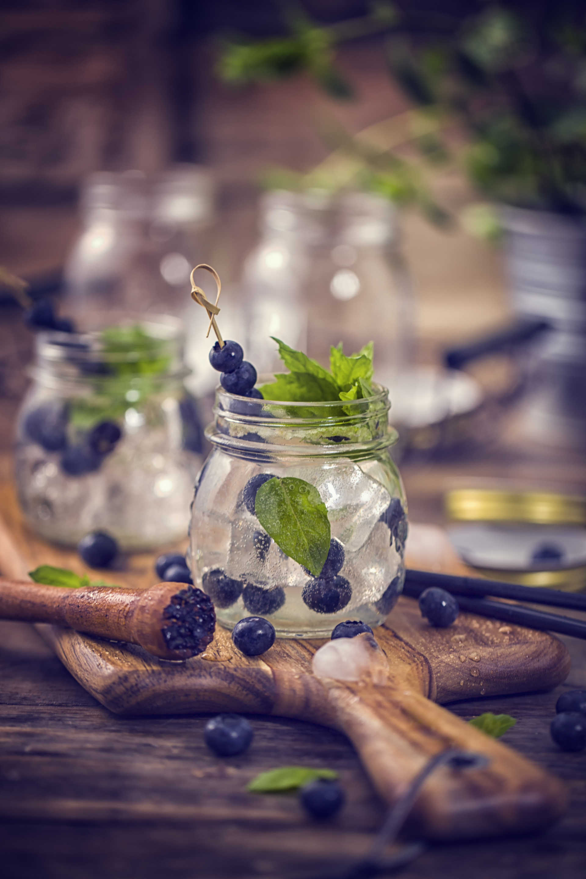 Blueberry Mint Mojito