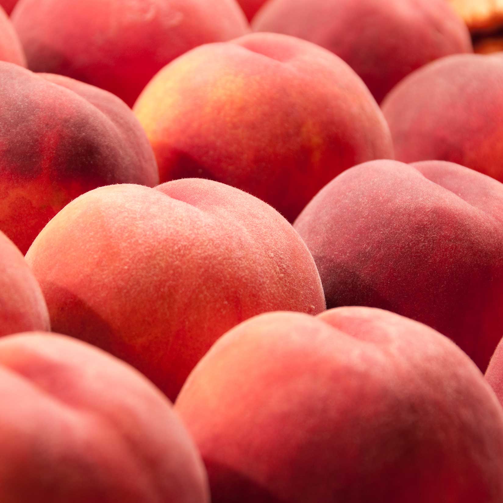 Close-up of a pile of peaches with a soft focus