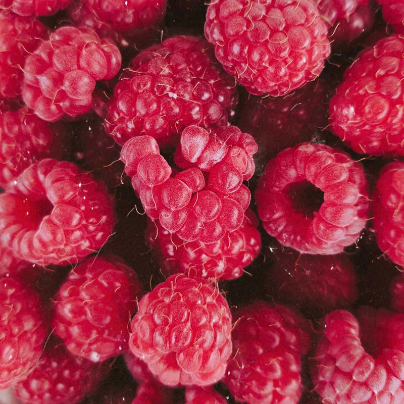 Close-up of fresh raspberries with a dark background