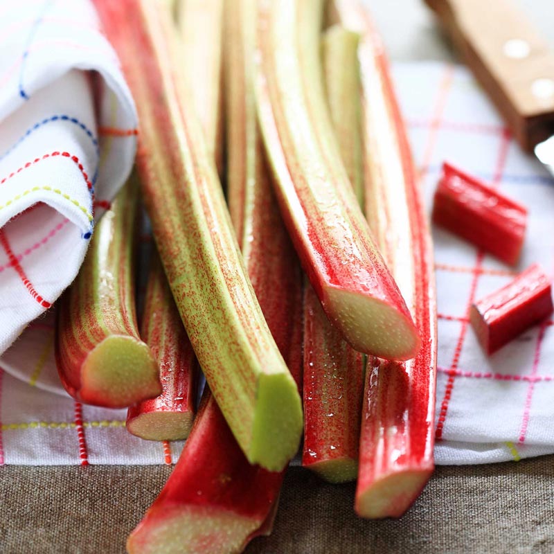 Stalks of rhubarb on a checkered cloth with a knife in the background