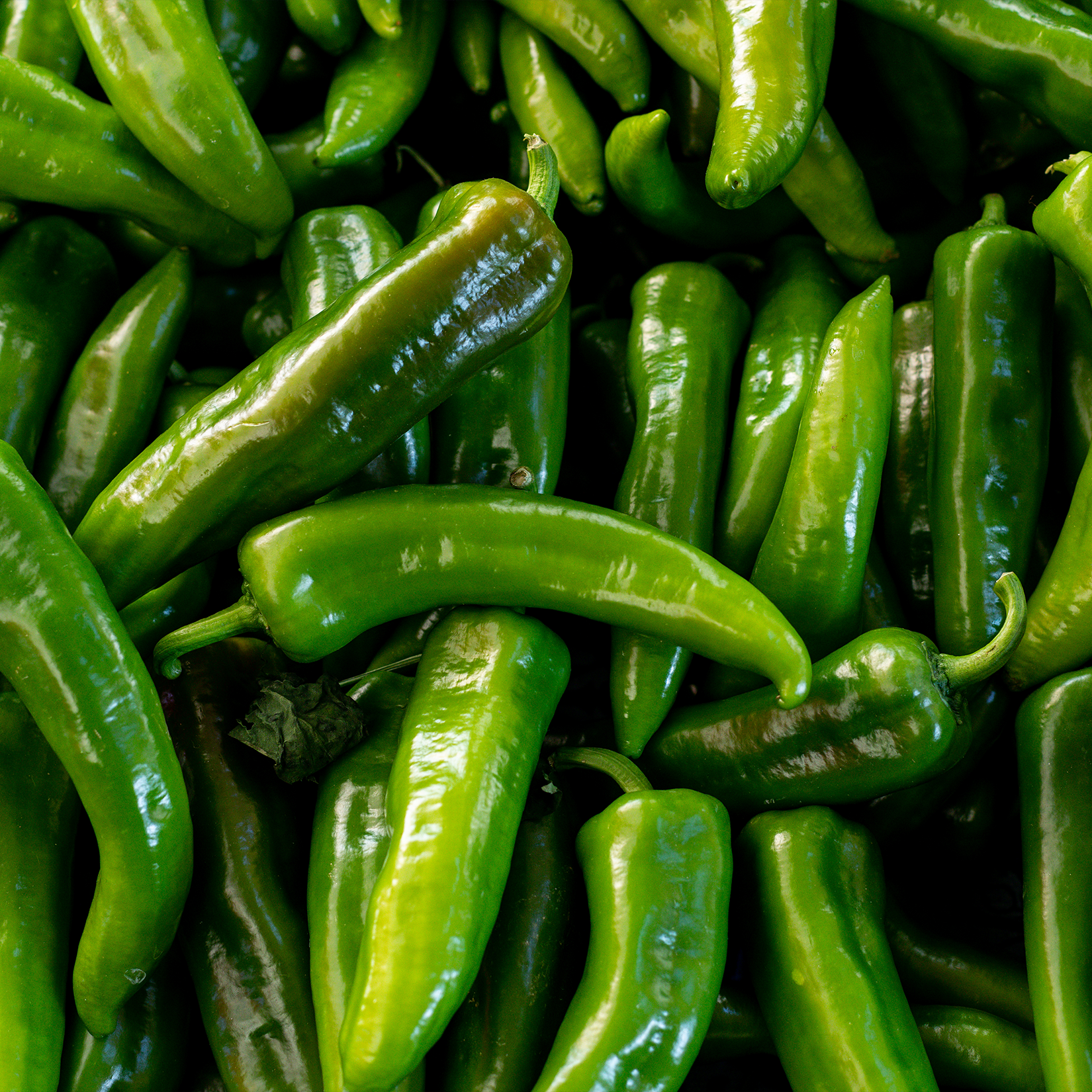 Green Chilli Pepper