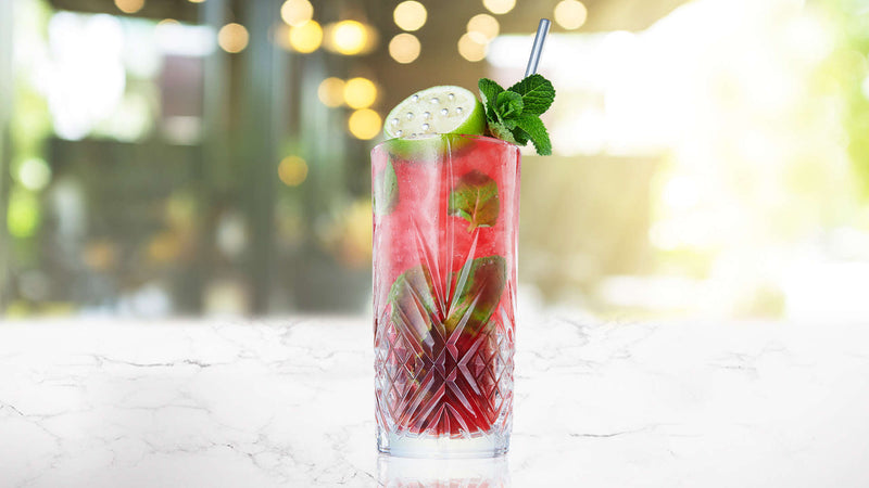 Hibiscus Colada
