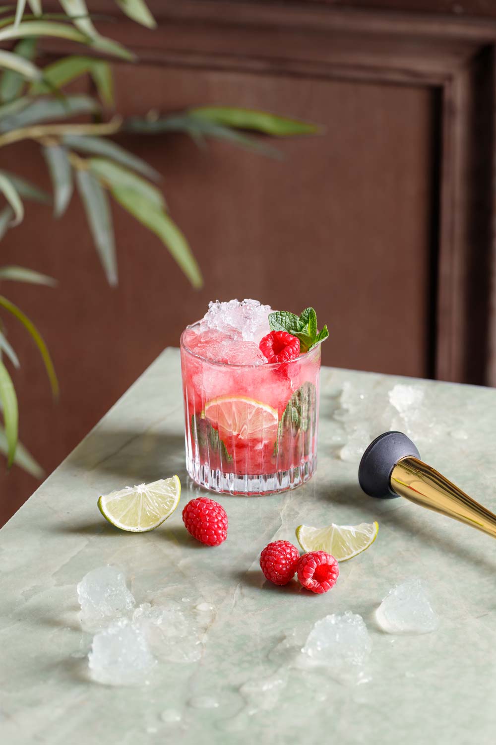 Raspberry Mojito