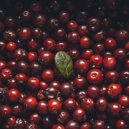 Cranberry