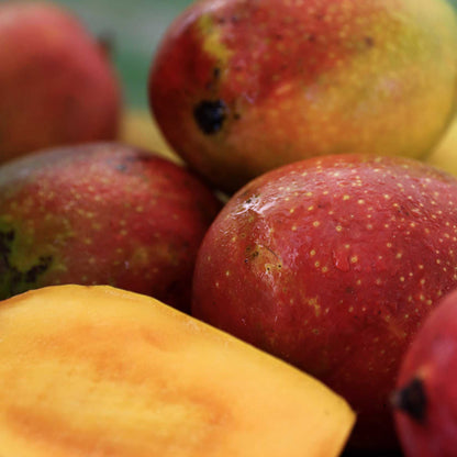 Mango Puree