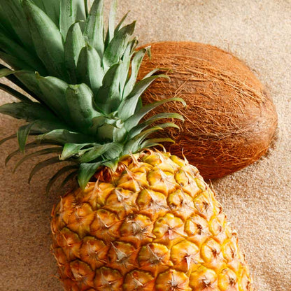 Pineapple and coconut on a textured surface