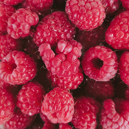 Close-up of fresh raspberries with a dark background